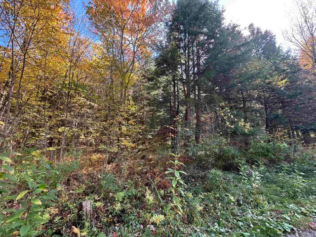 $65,000 | 0 Green Hill Lane, Wallingford, VT 05773