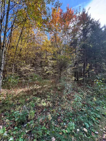 $65,000 | 0 Green Hill Lane, Wallingford, VT 05773