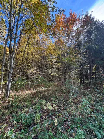 $65,000 | 0 Green Hill Lane, Wallingford, VT 05773