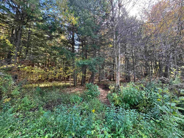 $65,000 | 0 Green Hill Lane, Wallingford, VT 05773