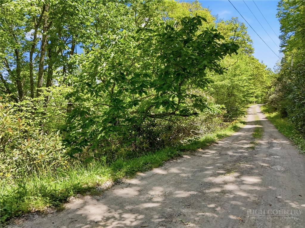 Lot #32 Snowridge Road Banner Elk, NC 28604 - Photo 11 of 20 Gallery Image 11