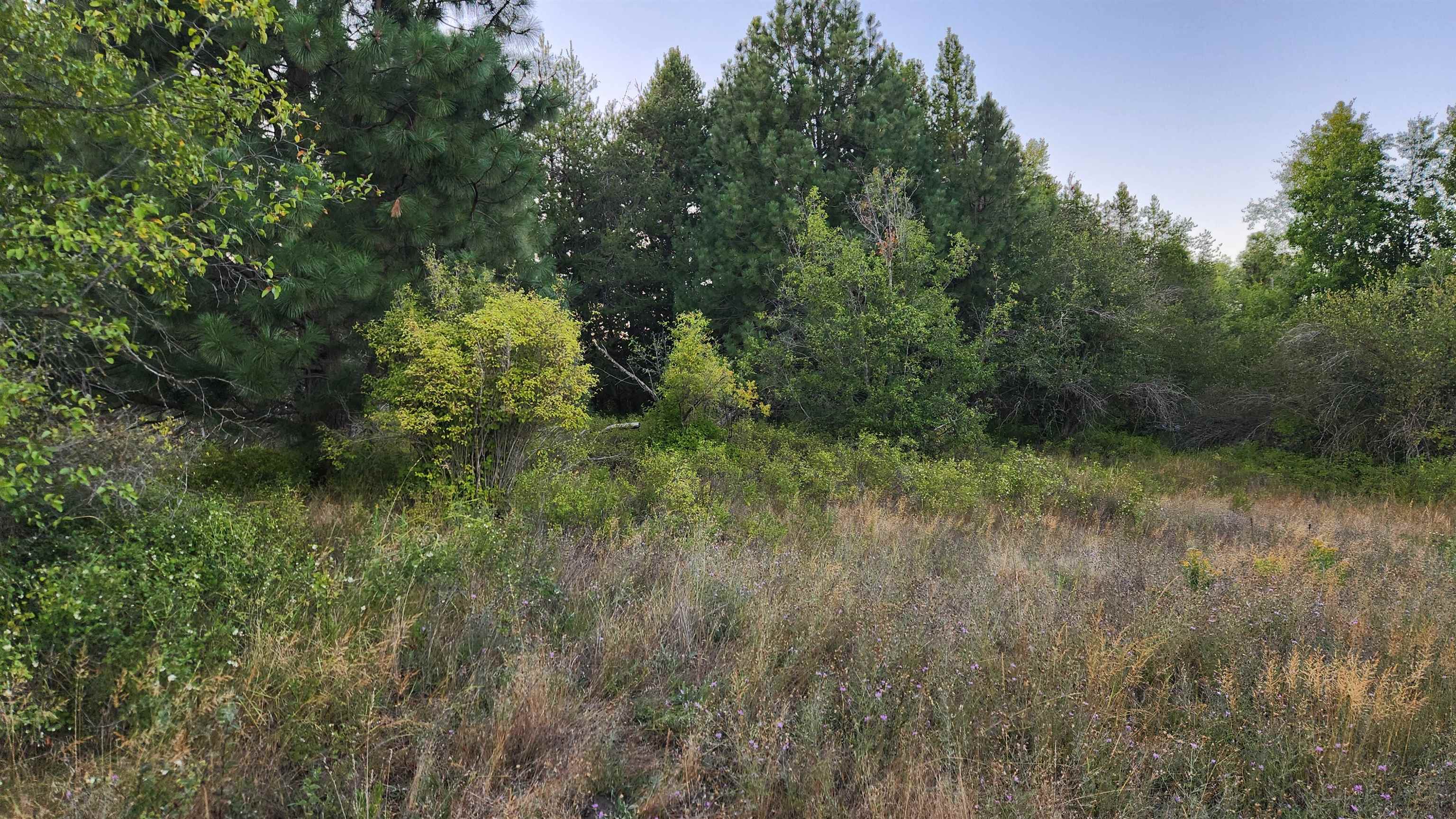 0 West Enoch Road Deer Park, WA 99006 - Photo 5 of 13