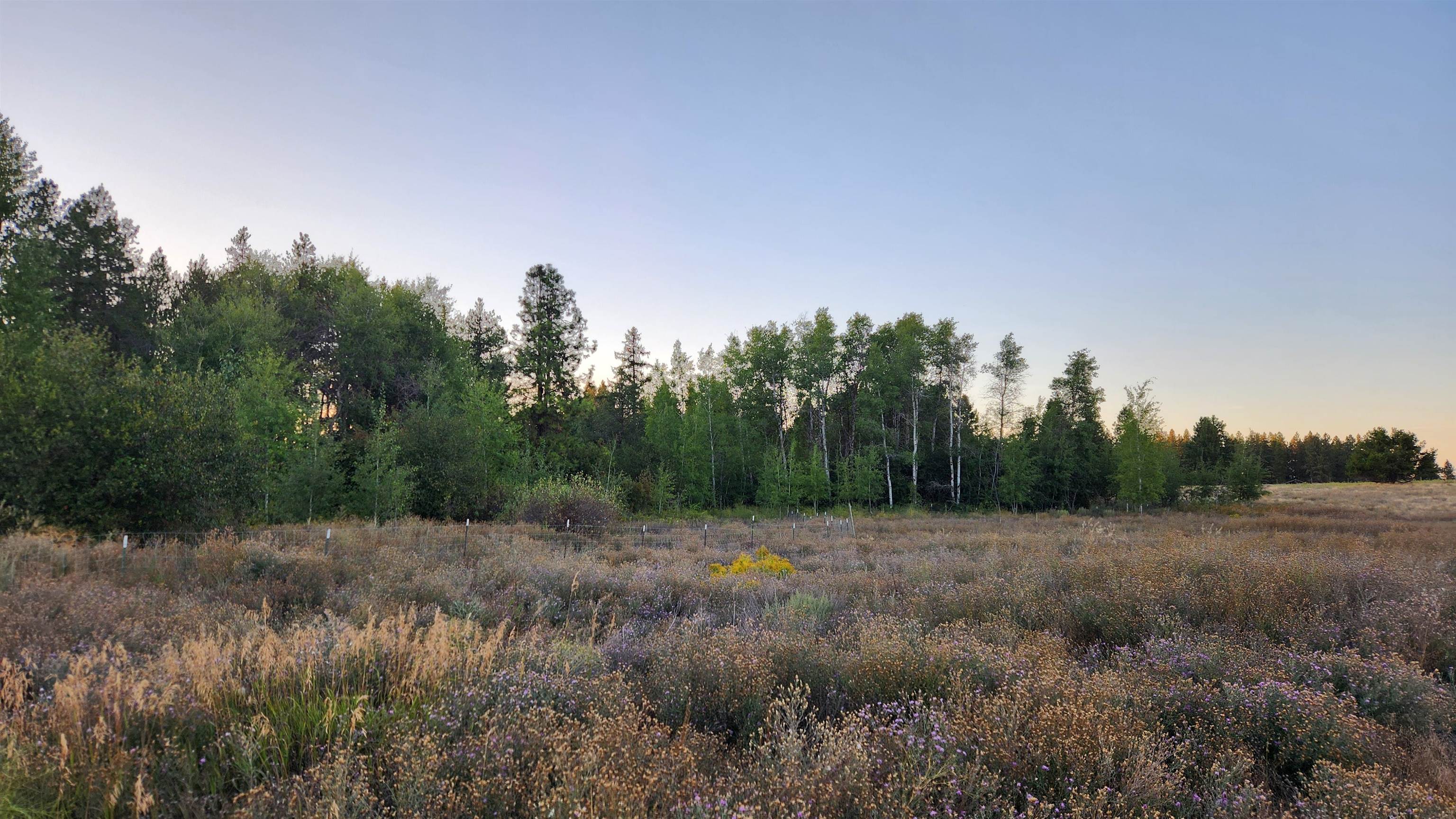 0 West Enoch Road Deer Park, WA 99006 - Photo 8 of 13