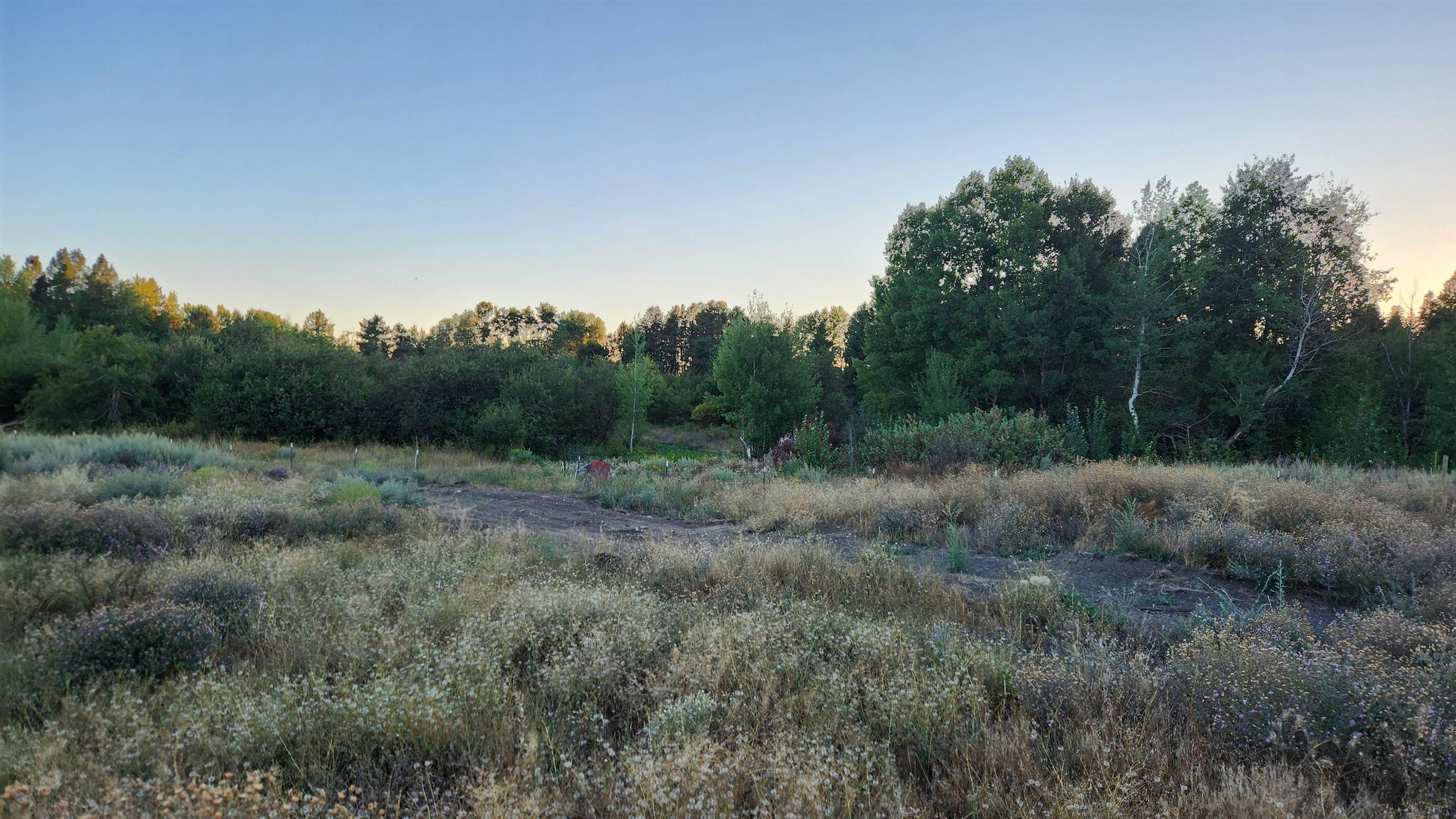 0 West Enoch Road Deer Park, WA 99006 - Photo 10 of 13