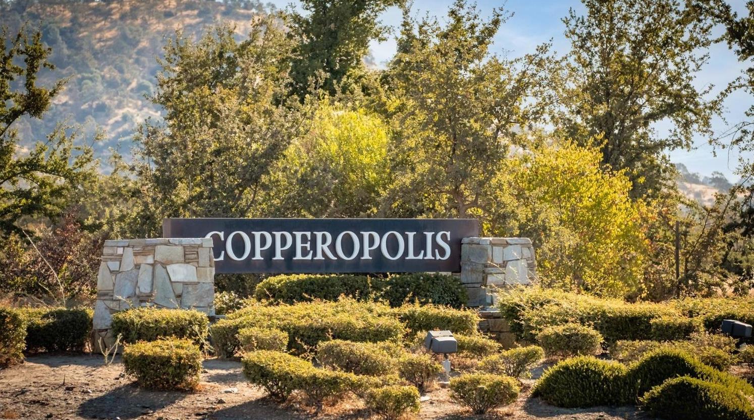 6250 Bluff View Road Copperopolis, CA 95228 - Photo 78 of 84 Explore the nearby Town Square.