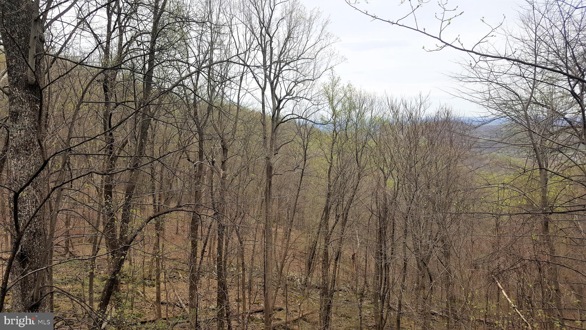 547 Split Rail Road Front Royal, VA 22630 - Photo 23 of 25 VIEWS