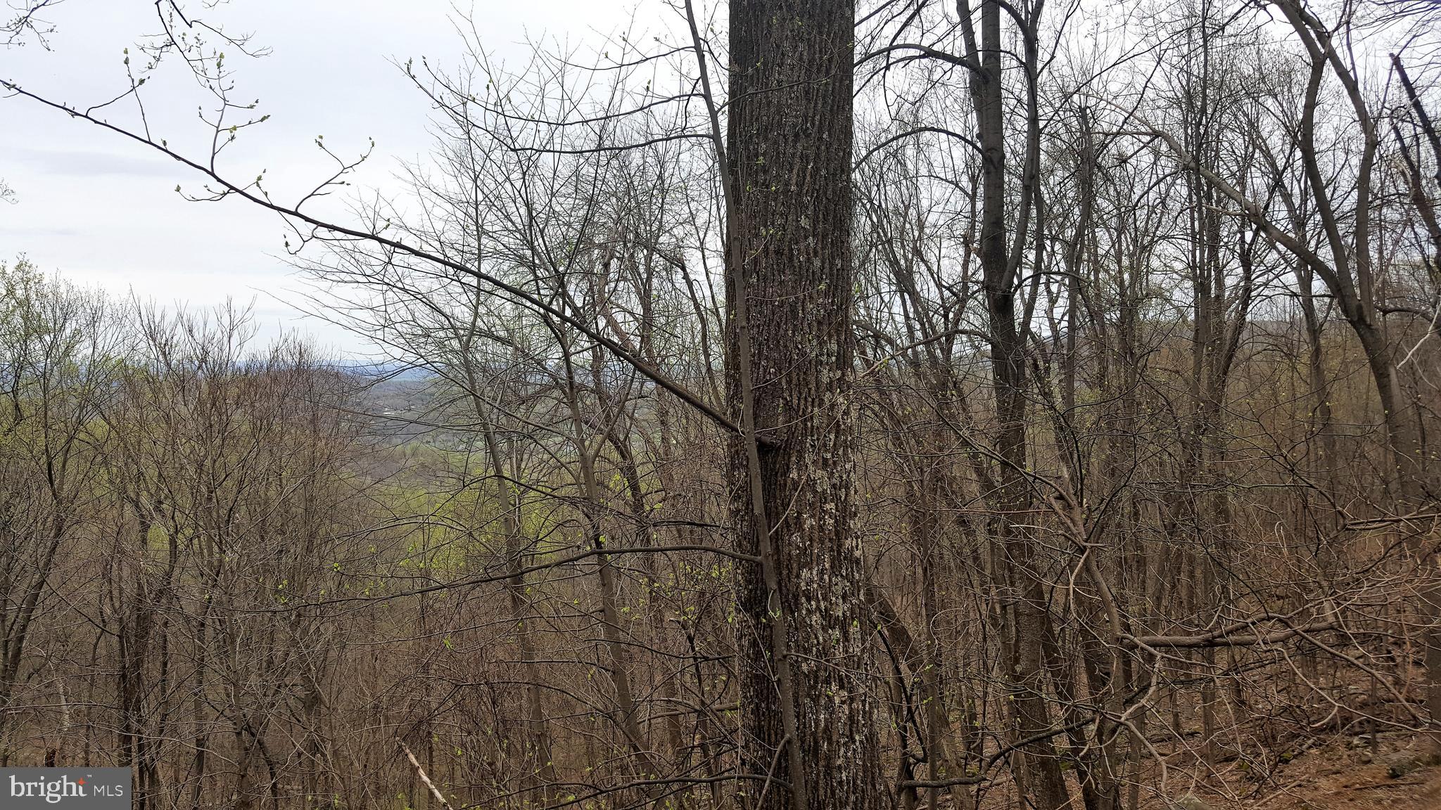 547 Split Rail Road Front Royal, VA 22630 - Photo 24 of 25 VIEWS