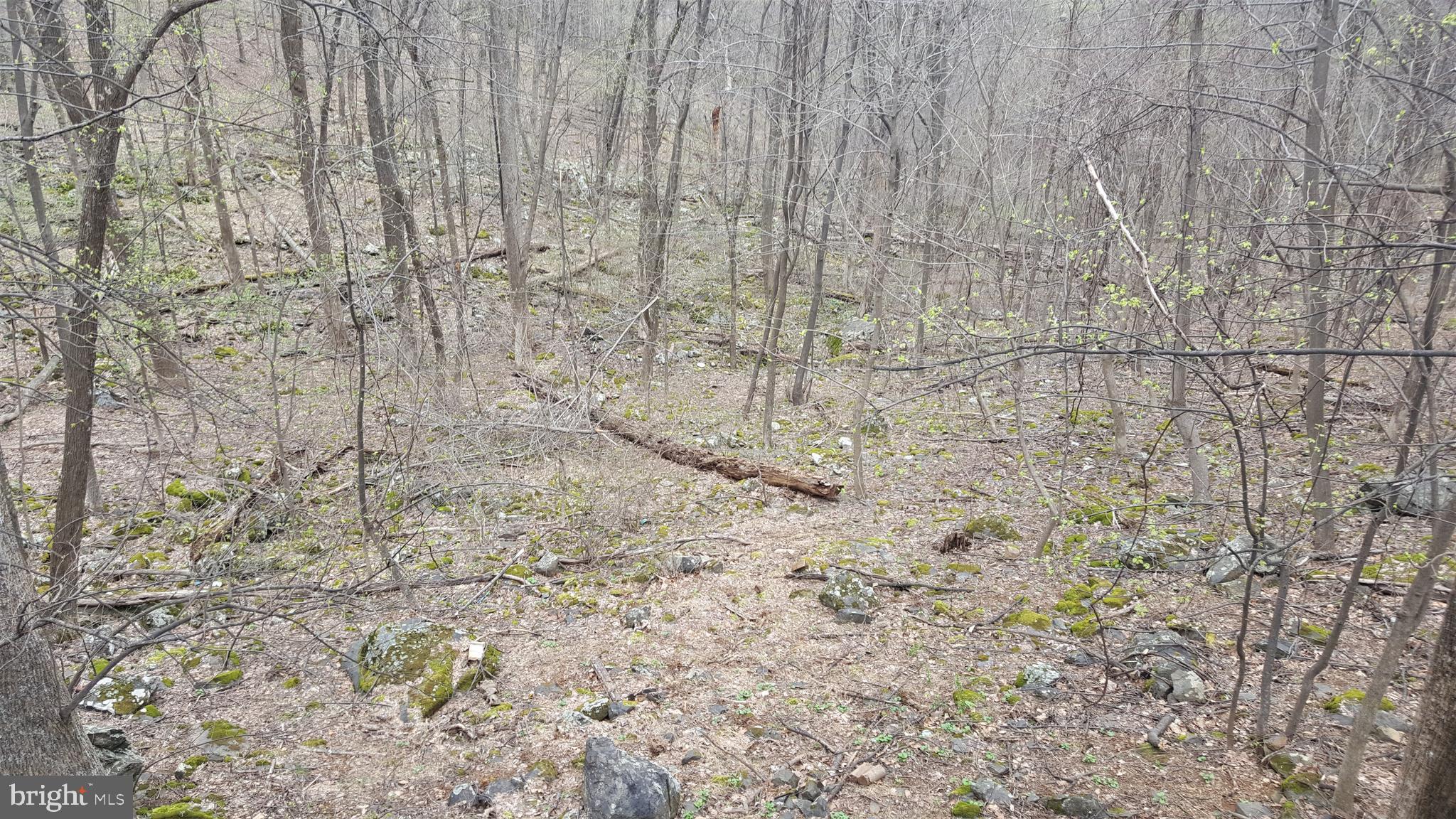 547 Split Rail Road Front Royal, VA 22630 - Photo 25 of 25 VIEWS