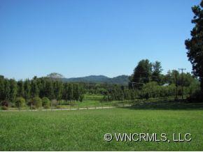 21 Warlick Road Mills River, NC 28759 - Photo 6 of 11 Gallery Image 6