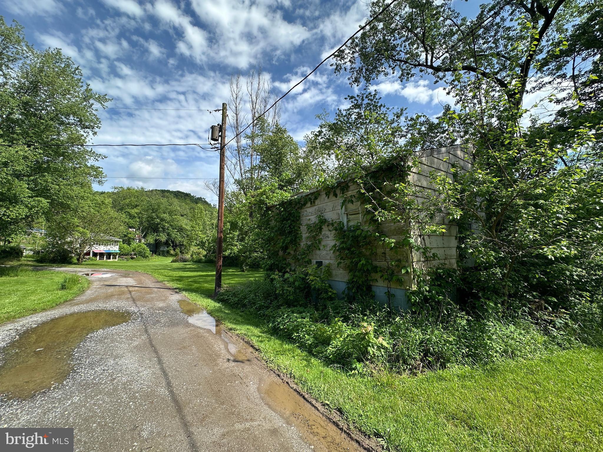 13726 Hopps Landing Road Hagerstown, MD 21740 - Photo 50 of 71 a view of a yard with plants and large trees