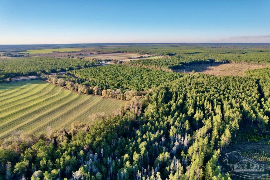 1-2 Three Hollow Road Jay, FL 32565 - Photo 31 of 31