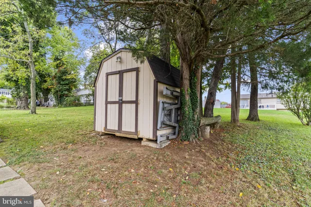 a view of backyard with tree
