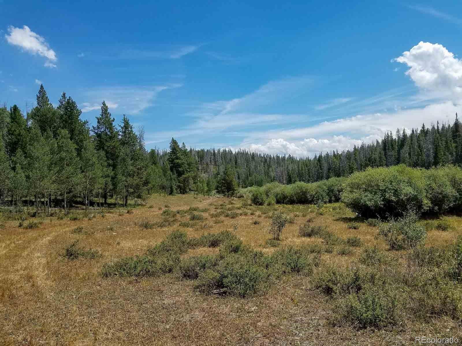 Copper Spur Road Bond, CO 80423 - Photo 1 of 40 a view of a dry yard with trees