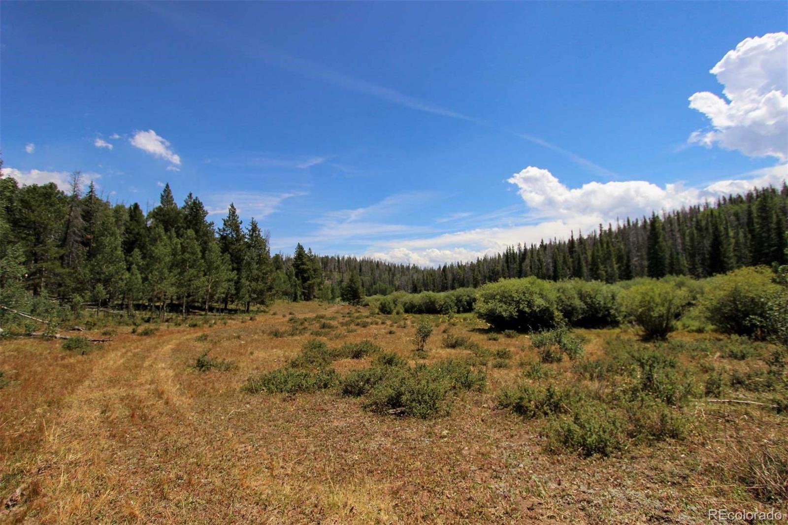 Copper Spur Road Bond, CO 80423 - Photo 11 of 40 a view of a dry yard with trees