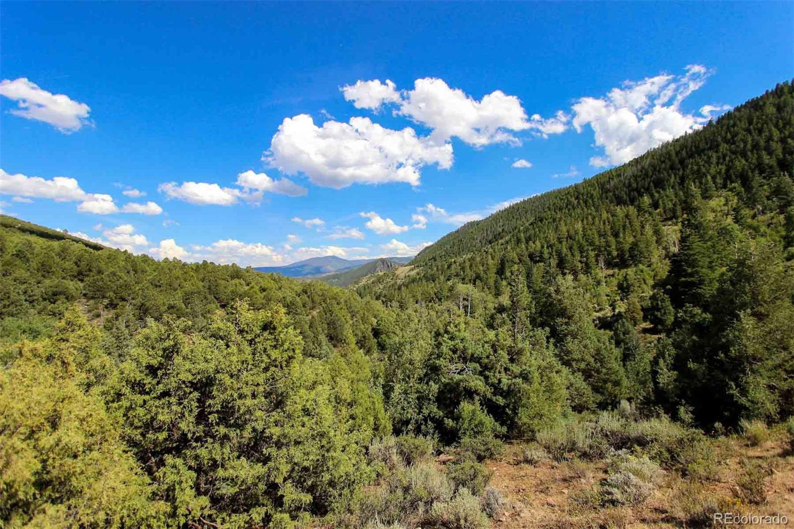 Copper Spur Road Bond, CO 80423 - Photo 12 of 40 a view of a flower in a garden
