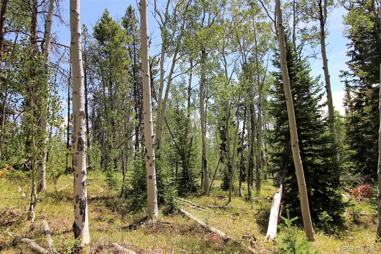 Copper Spur Road Bond, CO 80423 - Photo 23 of 40 a view of under construction of a house
