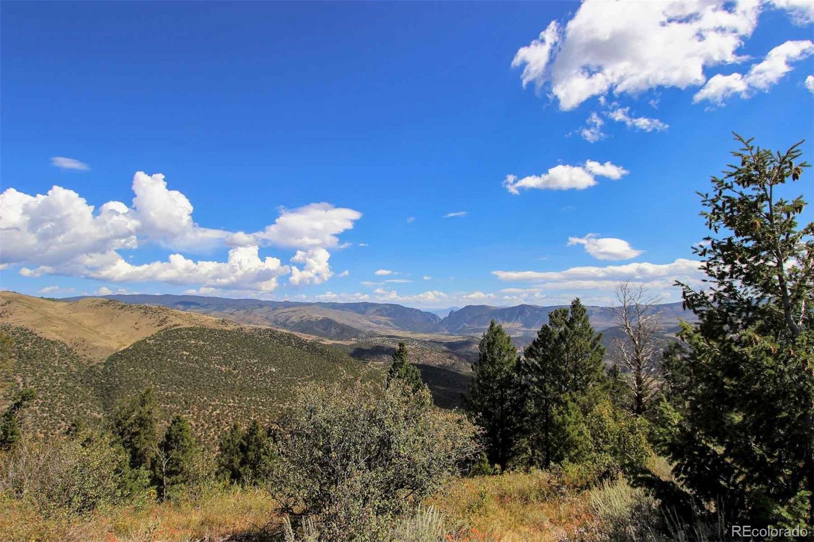 Copper Spur Road Bond, CO 80423 - Photo 29 of 40 a view of a yard with an ocean