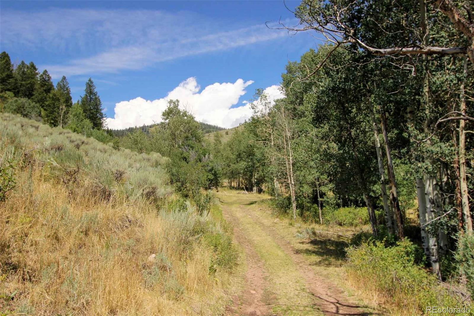 Copper Spur Road Bond, CO 80423 - Photo 30 of 40 a view of a lot of a yard