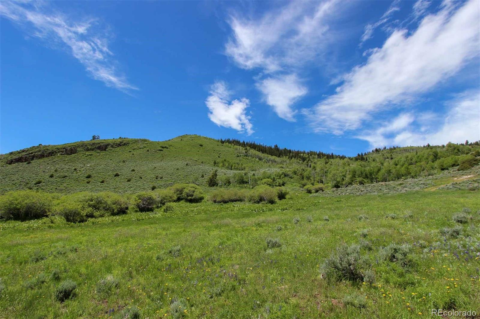 Copper Spur Road Bond, CO 80423 - Photo 39 of 40 a view of a big yard with lots of green space
