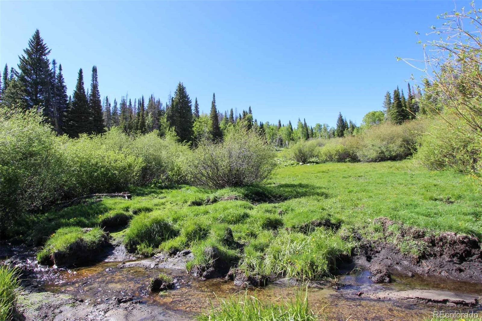 Copper Spur Road Bond, CO 80423 - Photo 40 of 40 a view of a garden with trees