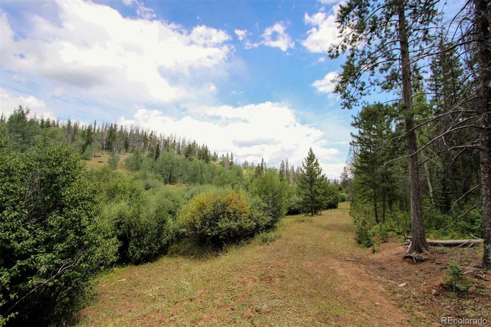 Copper Spur Road Bond, CO 80423 - Photo 4 of 40 a view of a pathway with a yard