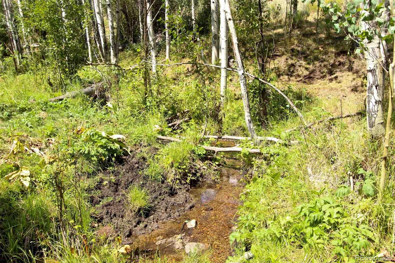 Copper Spur Road Bond, CO 80423 - Photo 5 of 40 a view of a yard with plants