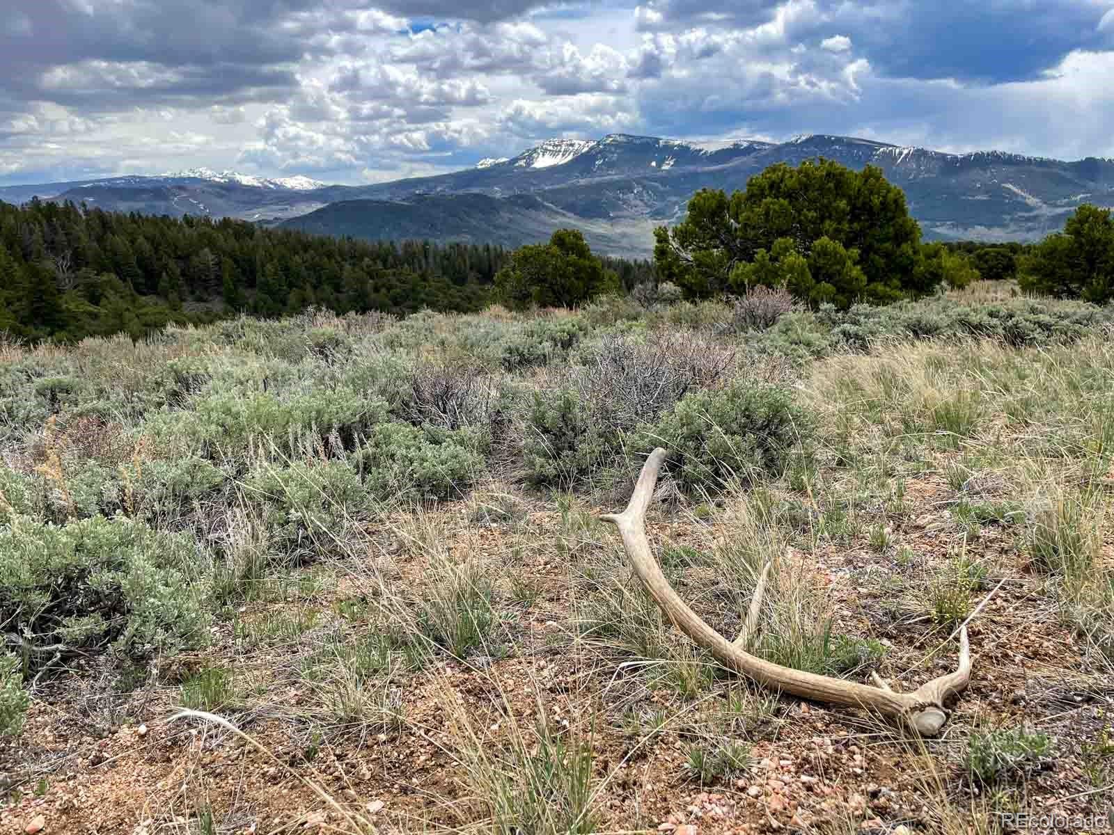 Copper Spur Road Bond, CO 80423 - Photo 6 of 40 a view of a yard with a wooden fence