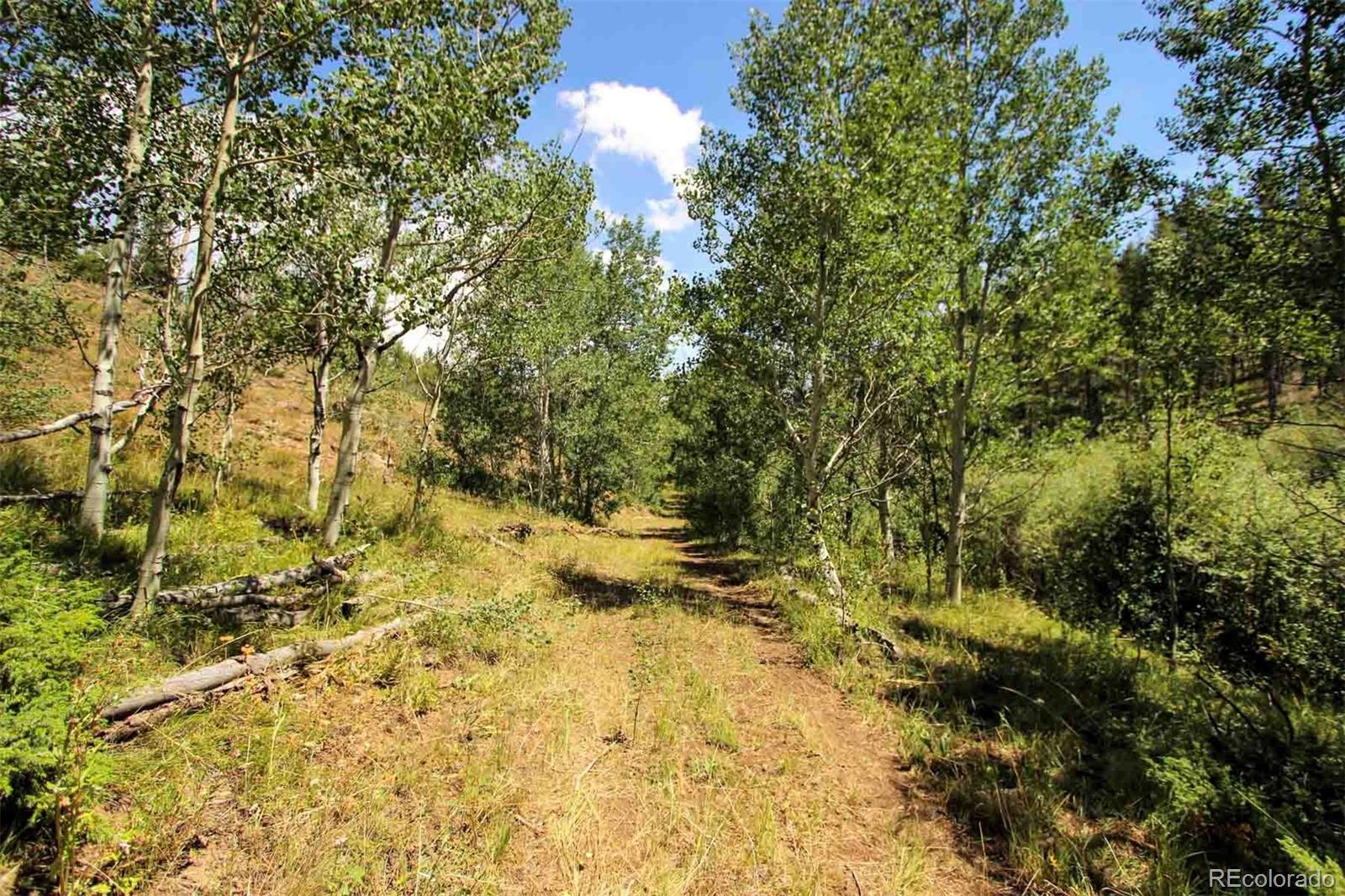 Copper Spur Road Bond, CO 80423 - Photo 7 of 40 a view of a yard with large trees