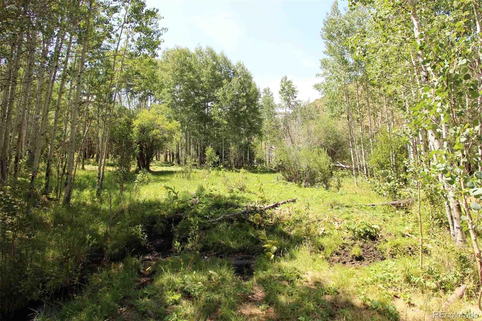 Copper Spur Road Bond, CO 80423 - Photo 10 of 40 a view of outdoor space and garden