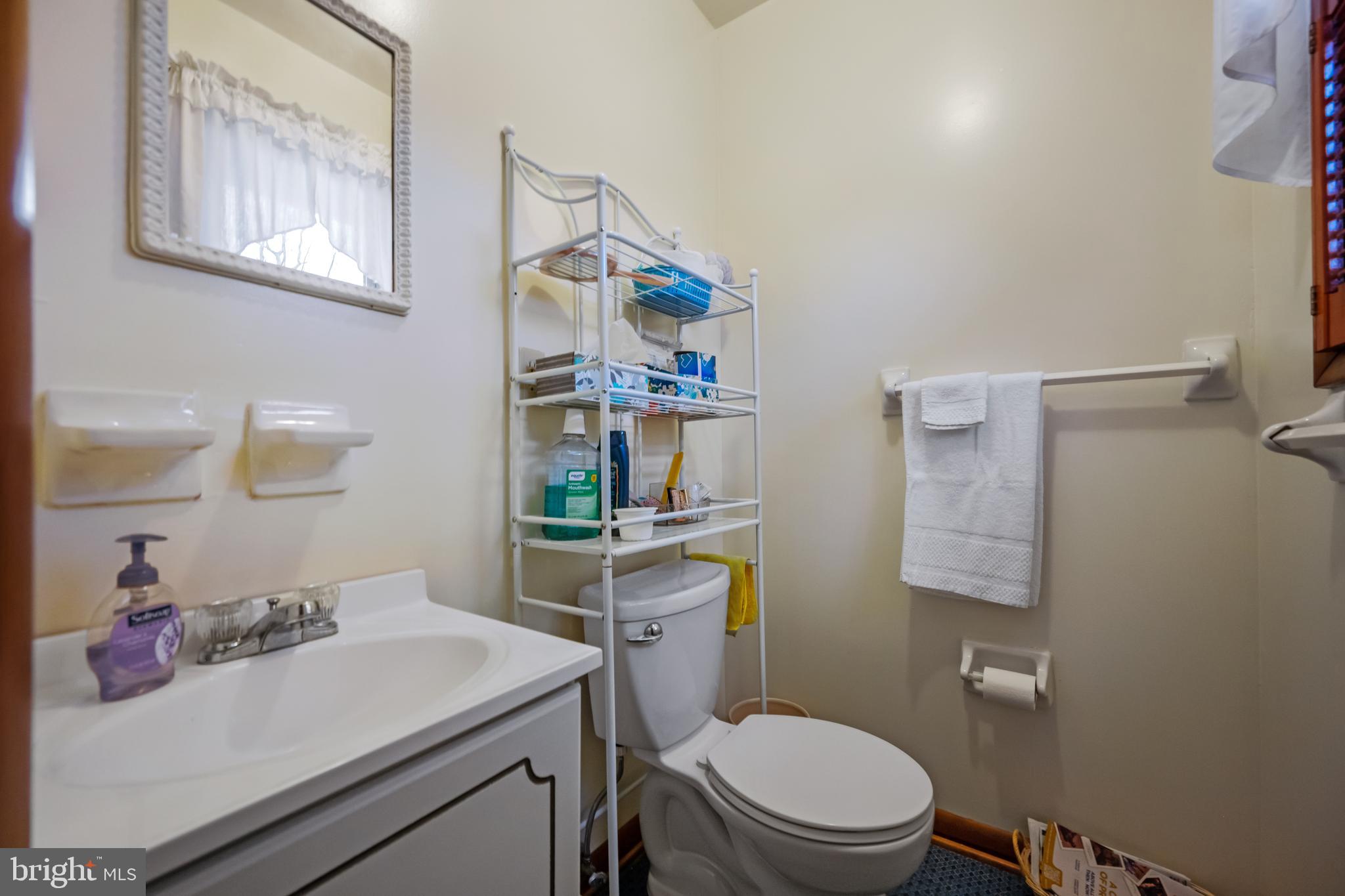 5402 Hines Road Frederick, MD 21704 - Photo 20 of 51 a bathroom with a sink a toilet and a mirror