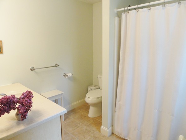 61 Coldbrook Road Oakham, MA 01068 - Photo 17 of 30 a bathroom with a sink a toilet and a shower