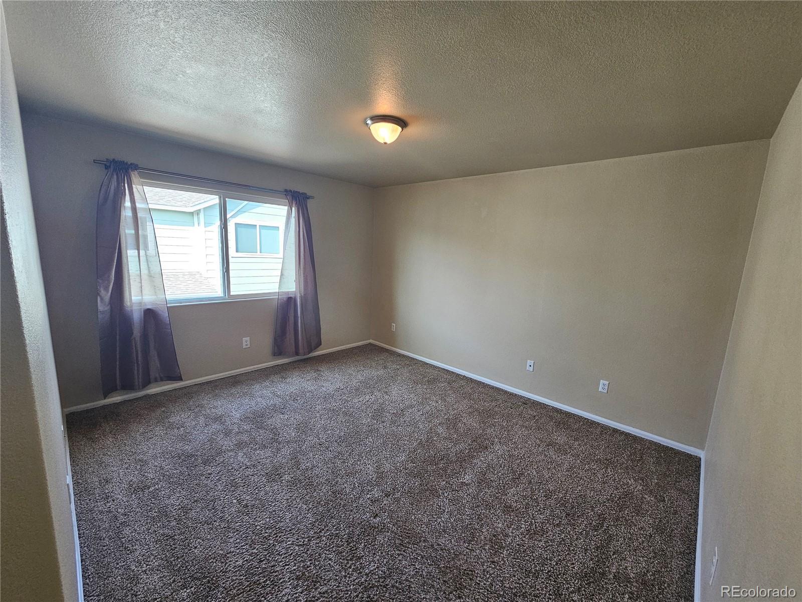 5352 Canadian Rose View Colorado Springs, CO 80916 - Photo 13 of 16