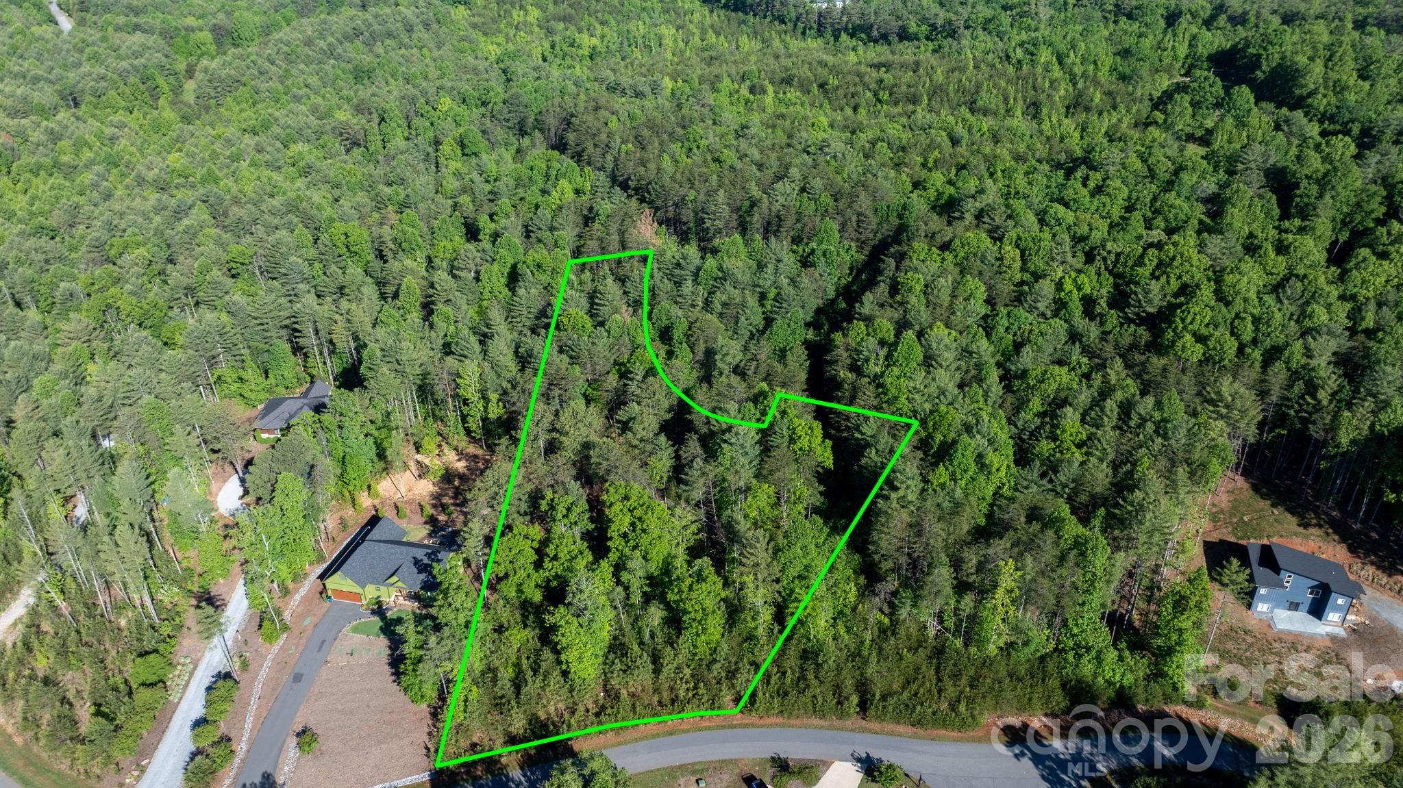 3030 Channel View Cove Morganton, NC 28655 - Photo 3 of 25
