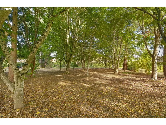 a view of yard with trees