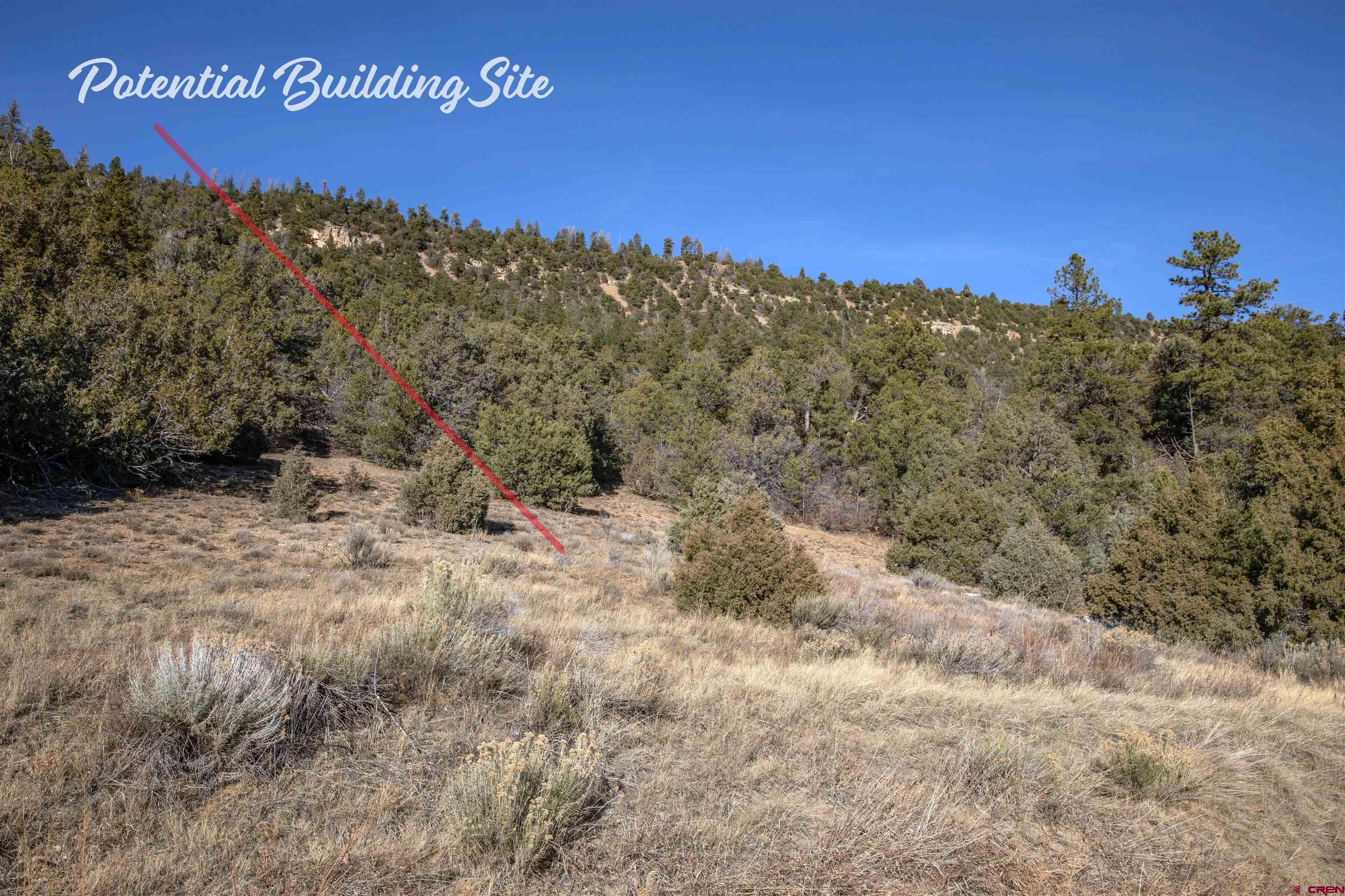 7 Old Relay Road Ridgway, CO 81432 - Photo 19 of 23