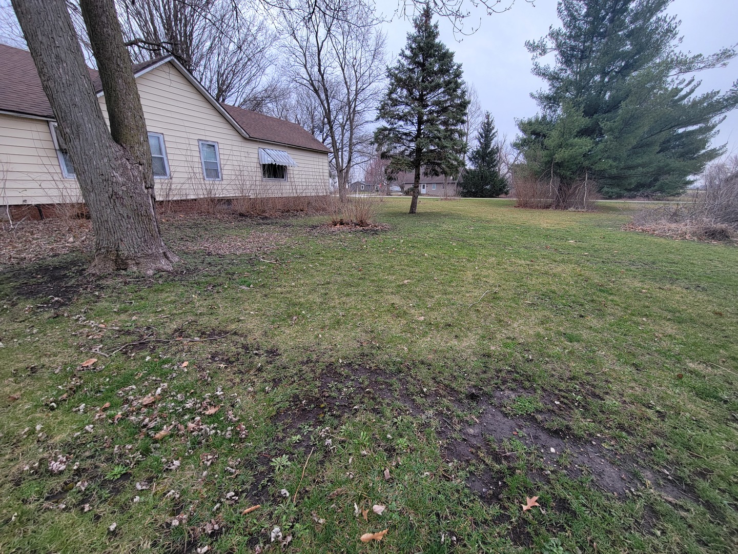 207 South Walnut Street Dana, IL 61321 - Photo 18 of 20 Gallery Image 18
