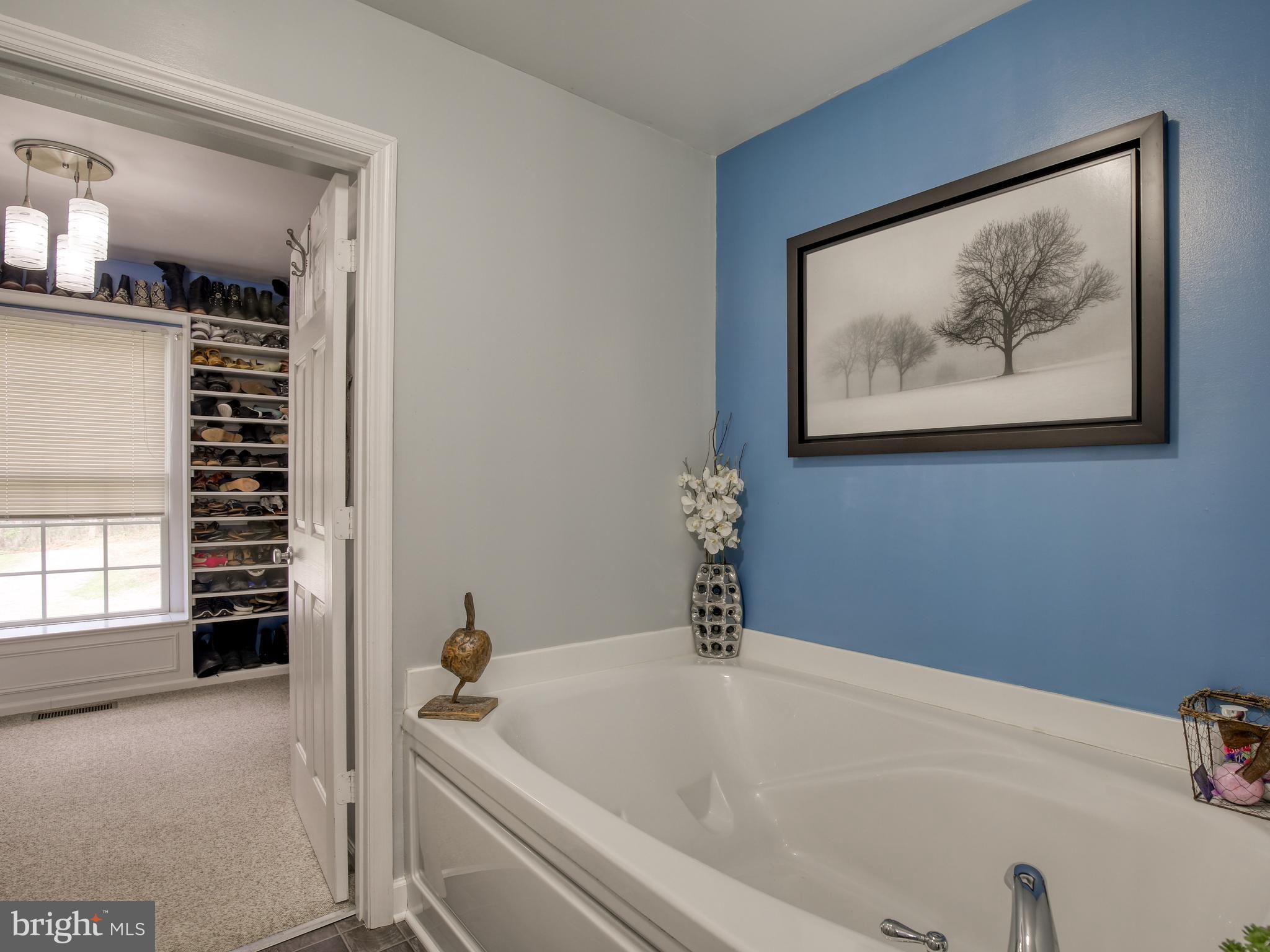 686 Cedar Grove Road Winchester, VA 22603 - Photo 18 of 72 Romantic double soaking tub ;)