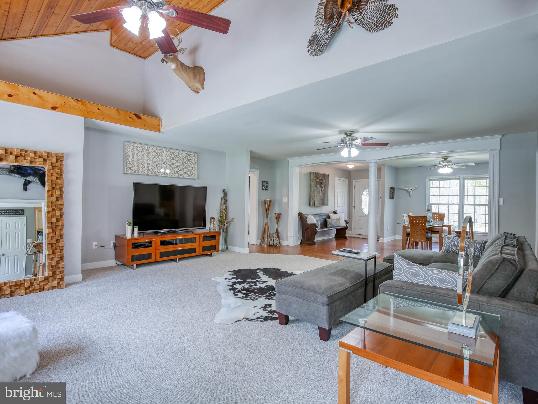 686 Cedar Grove Road Winchester, VA 22603 - Photo 5 of 72 Natural light throughout