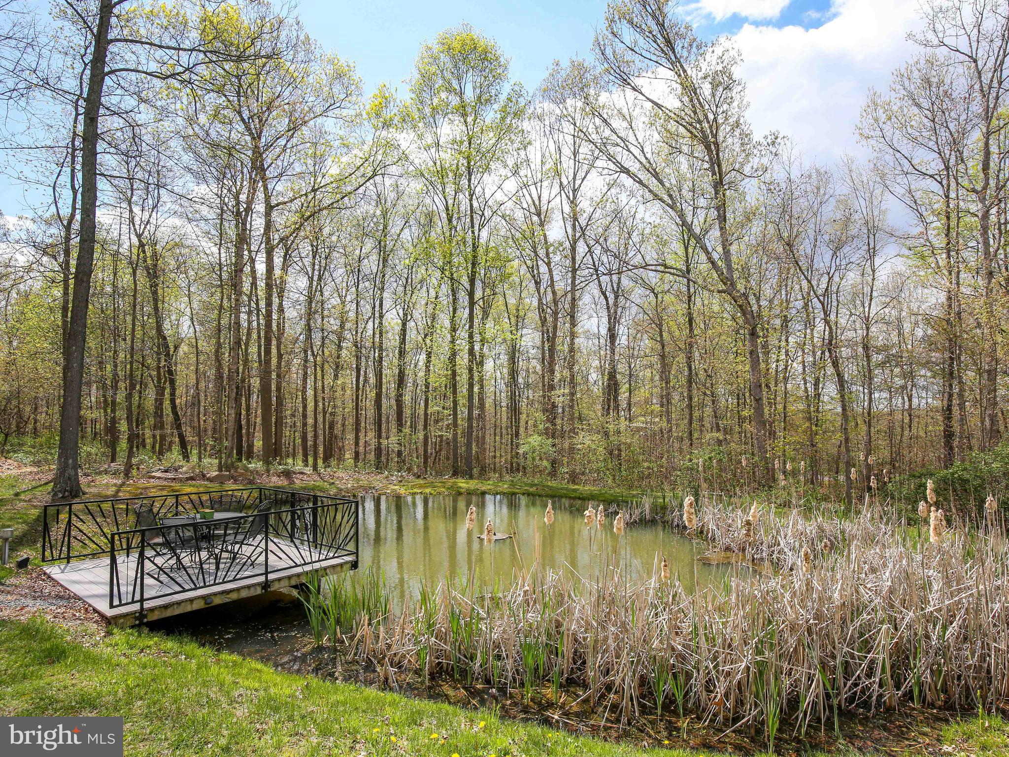 686 Cedar Grove Road Winchester, VA 22603 - Photo 60 of 72 Calling all nature enthusiasts and fisherman!?!?