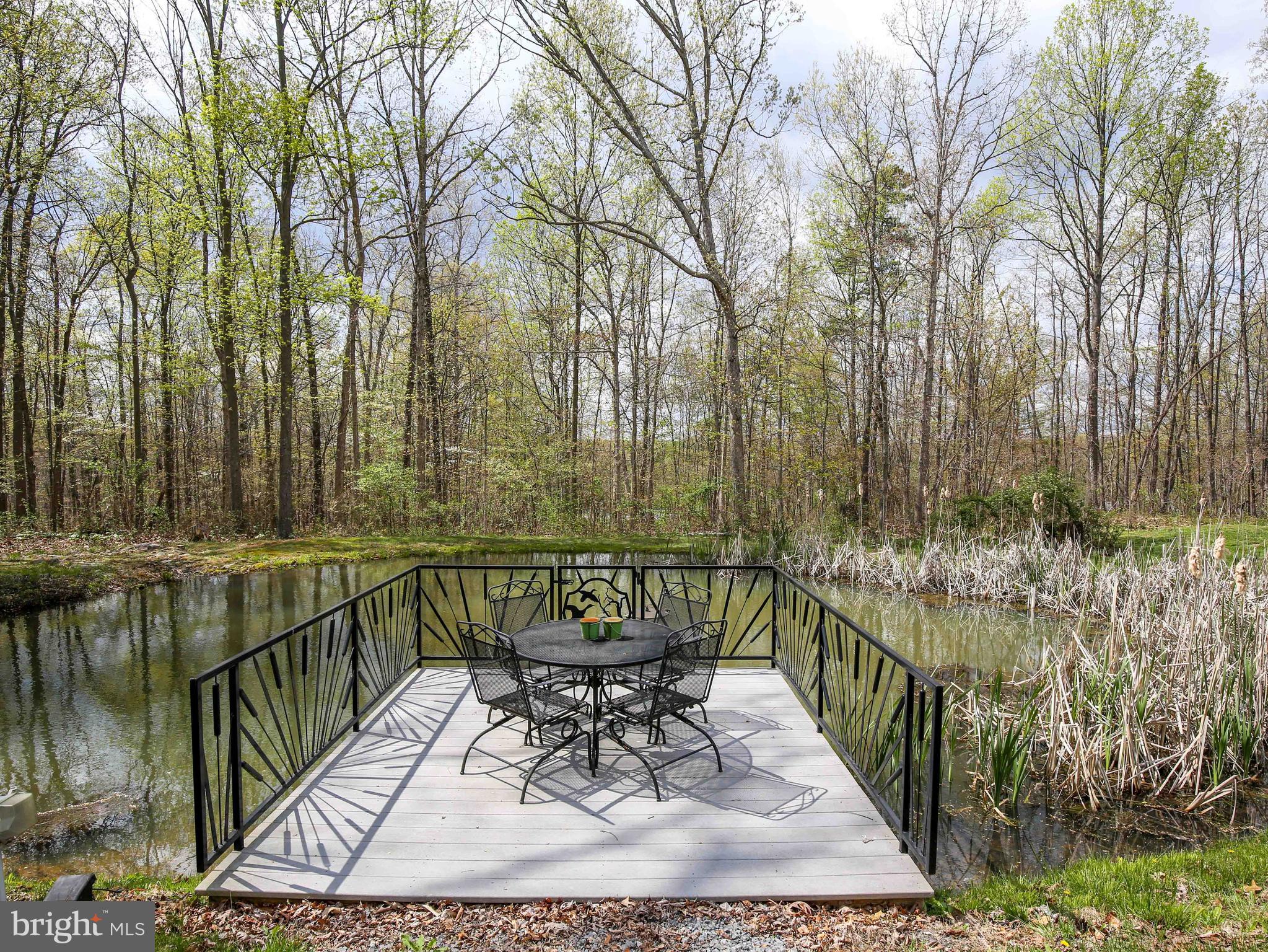 686 Cedar Grove Road Winchester, VA 22603 - Photo 61 of 72 Stocked pond and beautiful sunsets on your dock