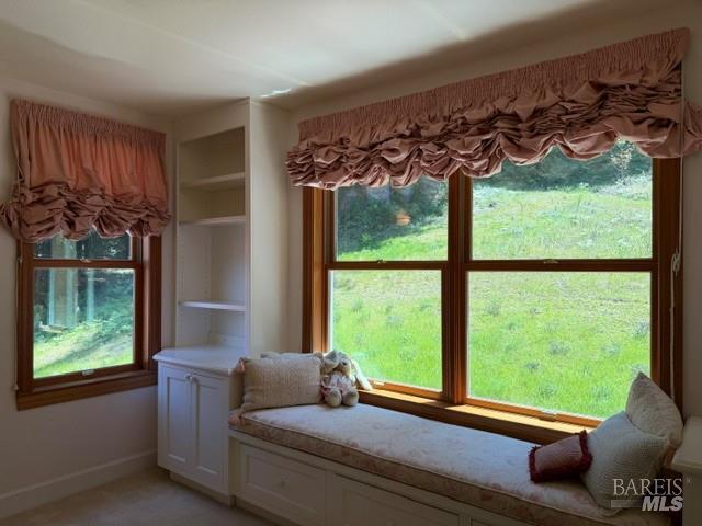 16875 Coleman Valley Road Occidental, CA 95465 - Photo 48 of 78
