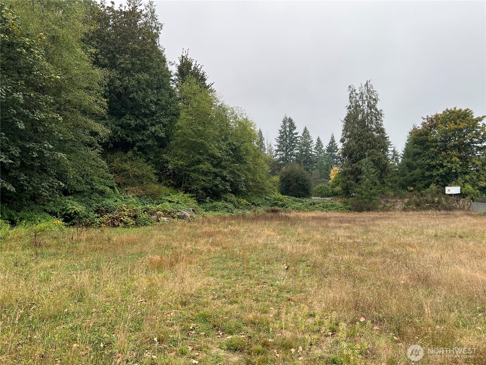 20045 Renton-Maple Valley Road Renton, WA 98058 - Photo 11 of 14 a view of a yard with a tree