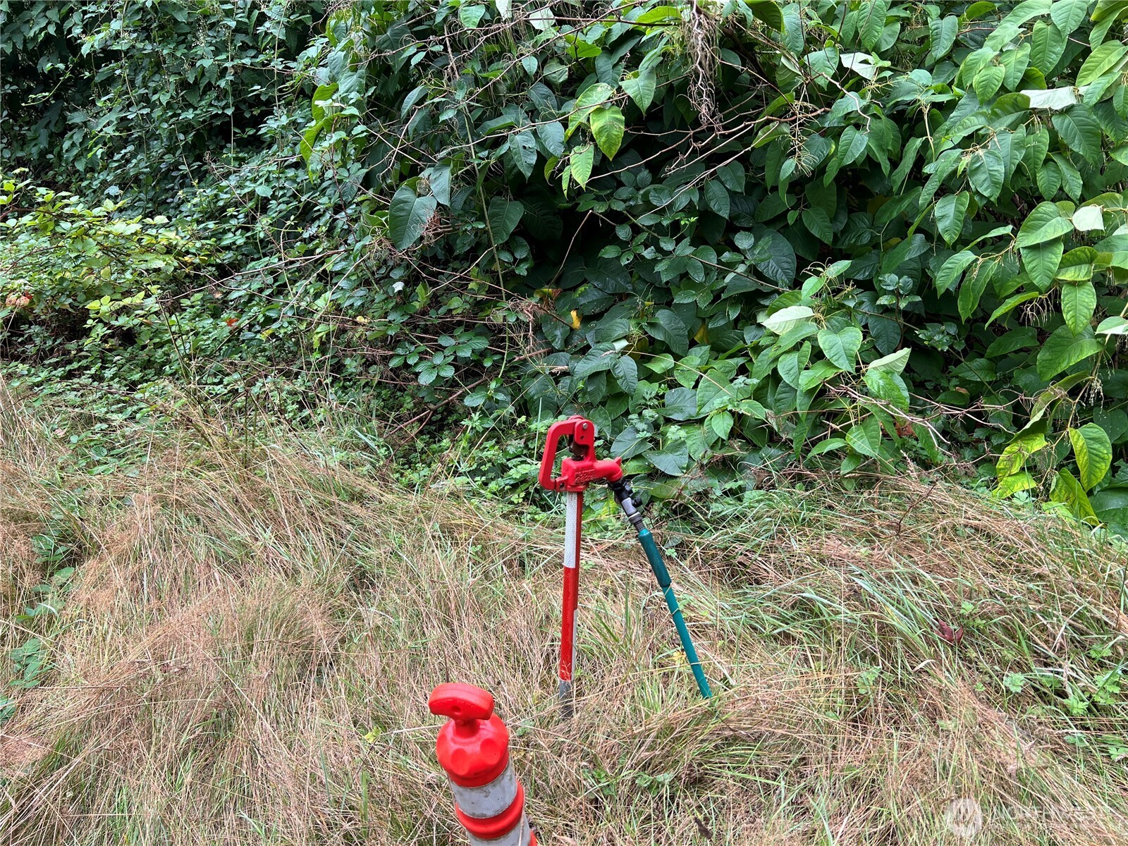 20045 Renton-Maple Valley Road Renton, WA 98058 - Photo 5 of 14