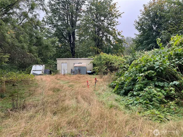 a view of a lush green forest