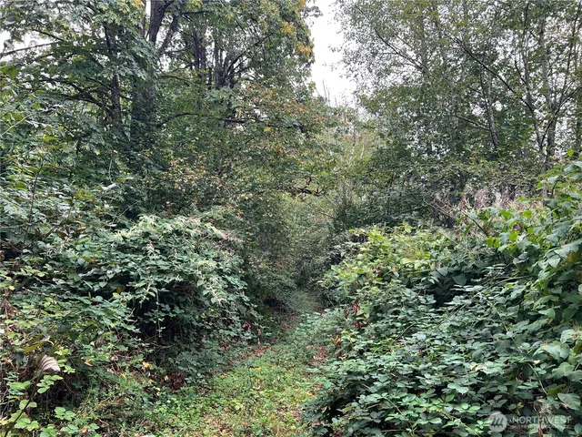 a view of a outdoor space