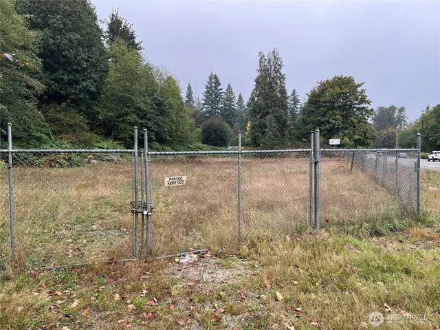 a view of a yard with a tree