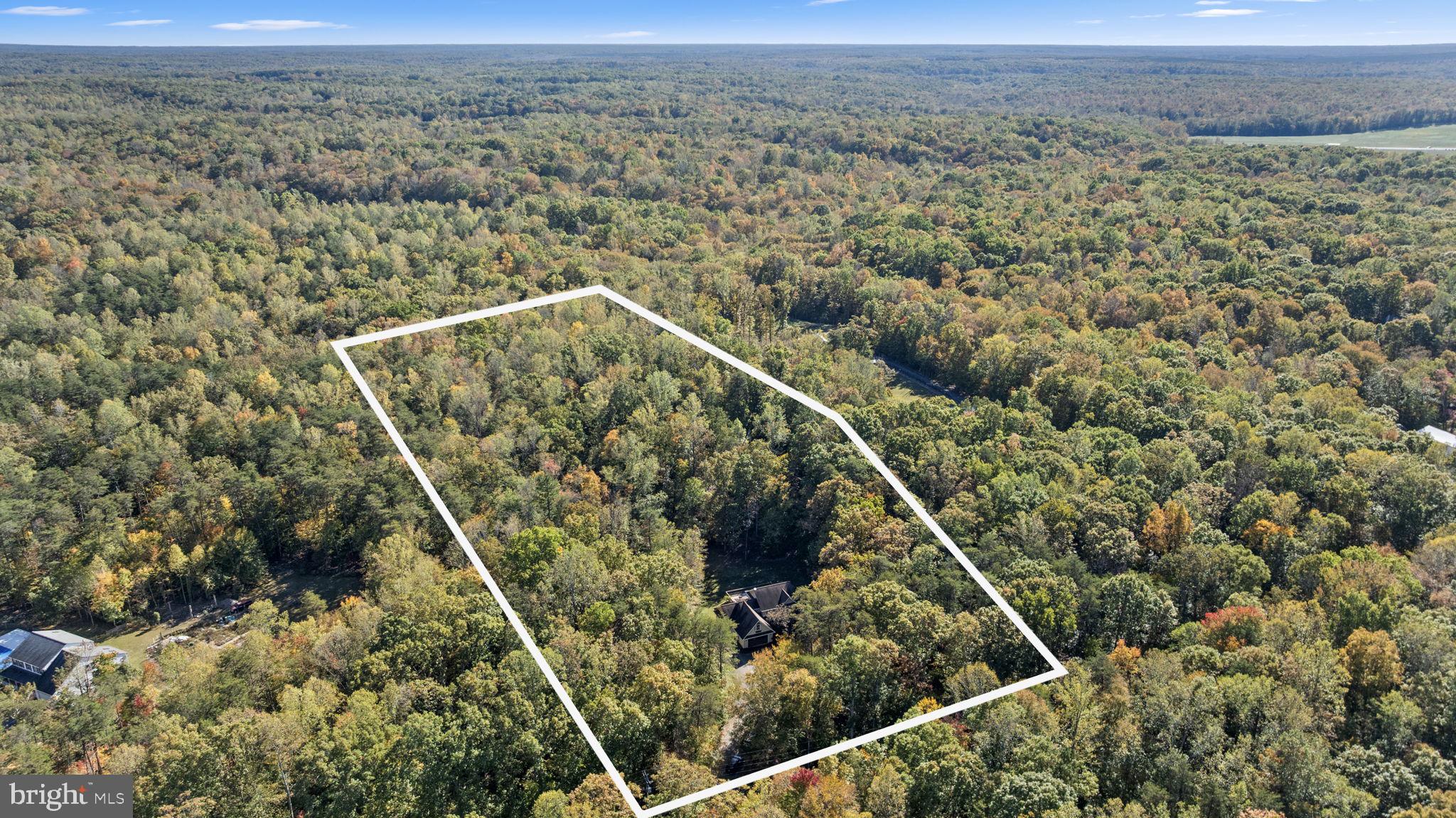 135 Old Cropps Mill Road Fredericksburg, VA 22406 - Photo 3 of 47 a view of a forest
