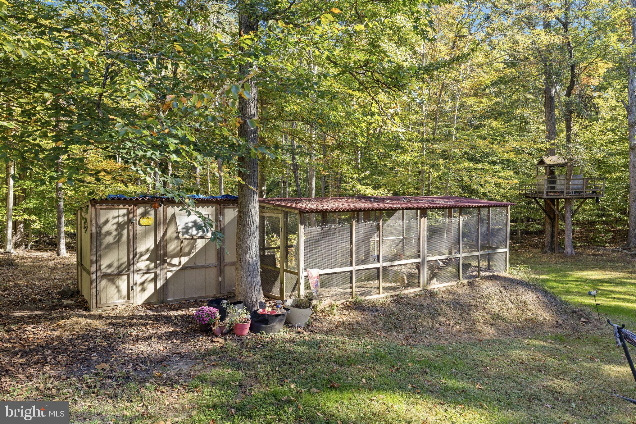 135 Old Cropps Mill Road Fredericksburg, VA 22406 - Photo 43 of 47 a view of a backyard with a small cabin