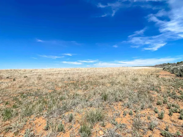$400,000 | 175 County Road, Egnar, CO 81325