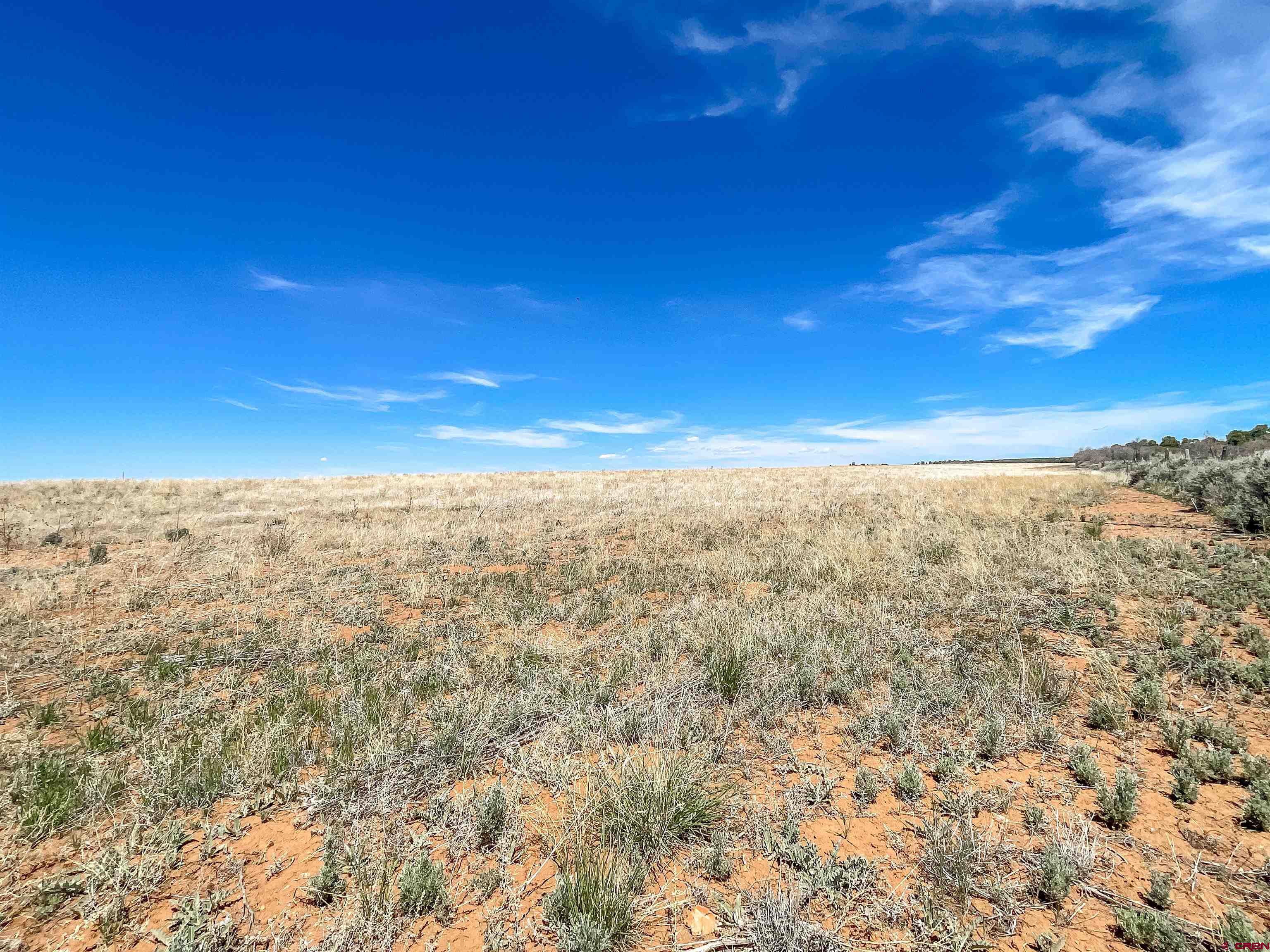 175 County Road Egnar, CO 81325 - Photo 29 of 35
